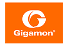 Gigamon Gigamon